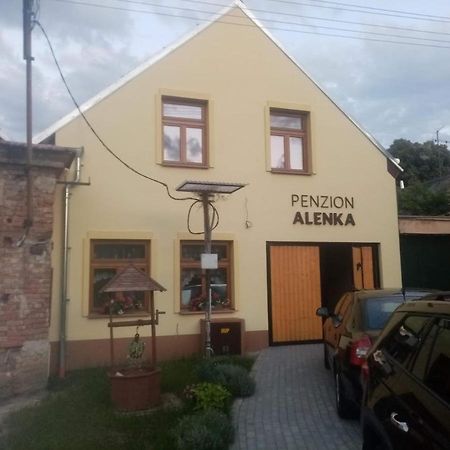 Penzion Alenka Valtice Kültér fotó